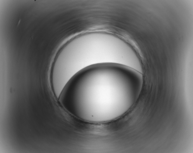 X0000088901328200706080819