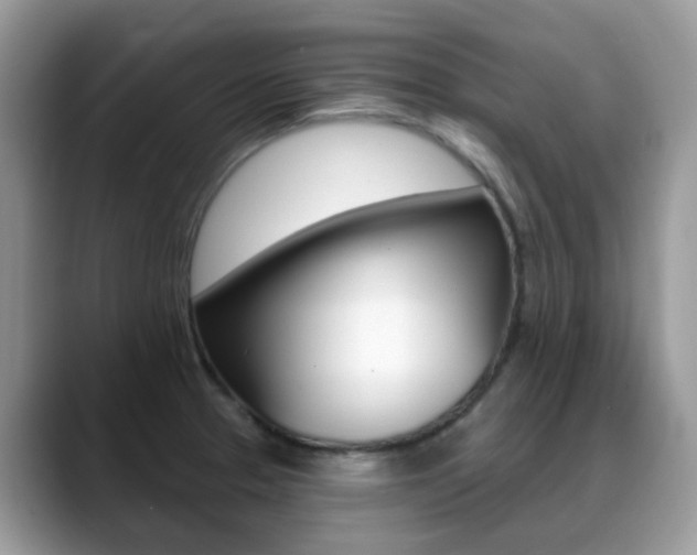 X0000088901329200706080819