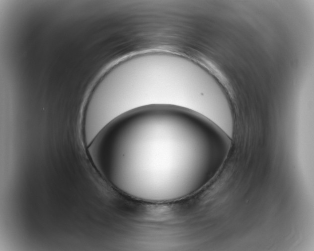 X0000088901332200706080819