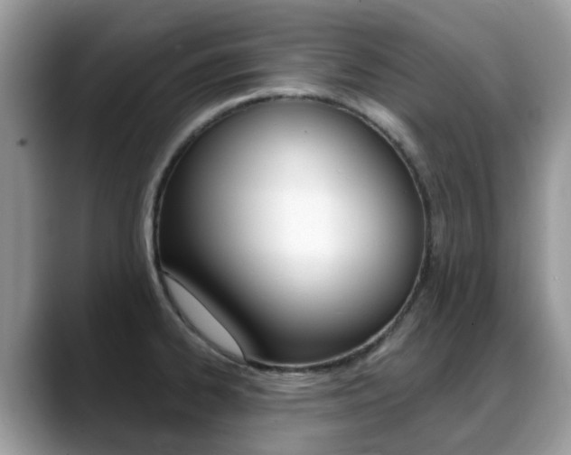 X0000088901334200706080819