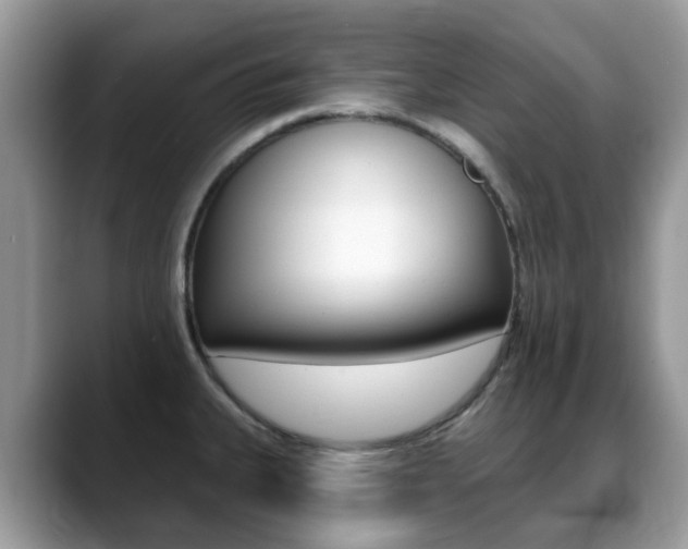 X0000088901335200706080819