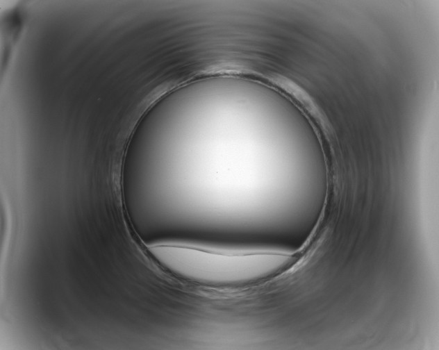 X0000088901337200706080819