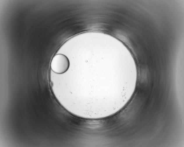 X0000088901338200706080819