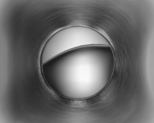 X0000088901339200706080819