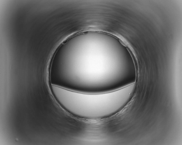 X0000088901341200706080819
