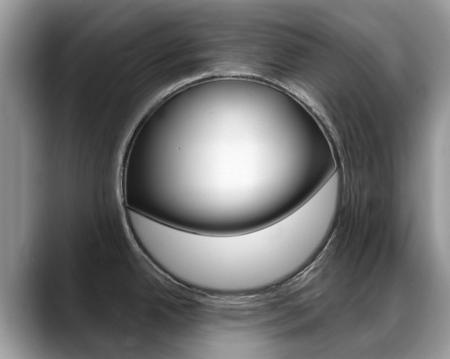 X0000088901342200706080819