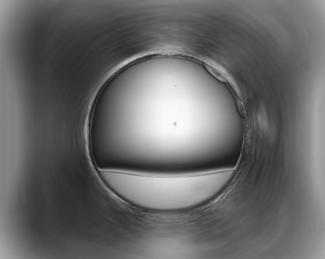 X0000088901343200706080819