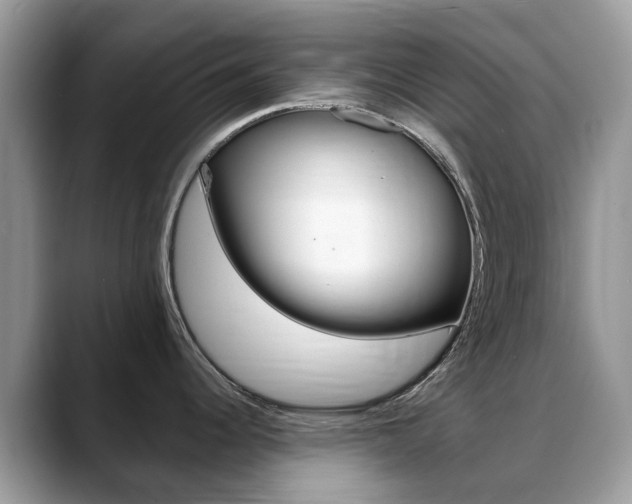 X0000088901344200706080819