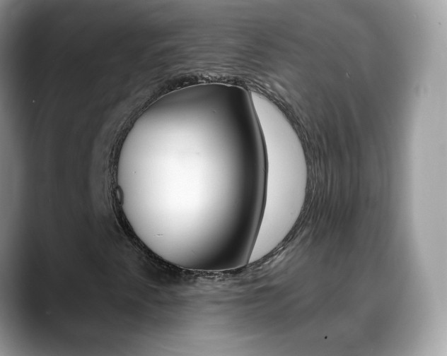 X0000088901345200706080818