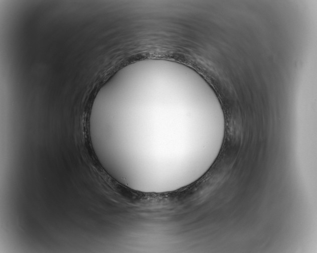 X0000088901346200706080818