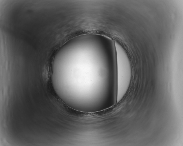 X0000088901348200706080818