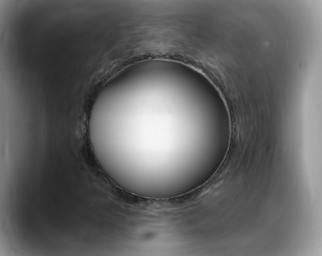 X0000088901349200706080818