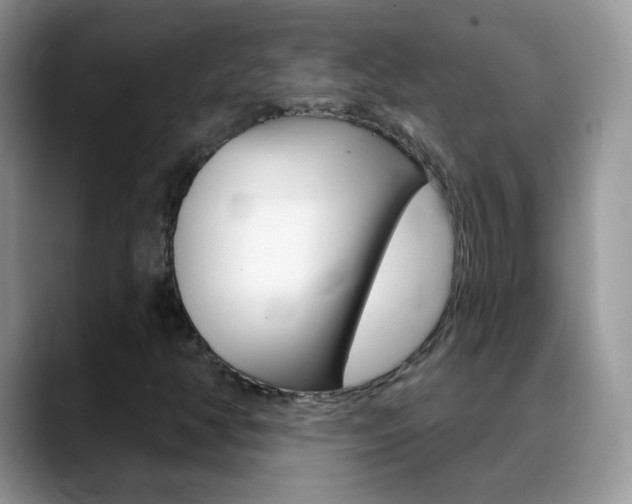 X0000088901350200706080818