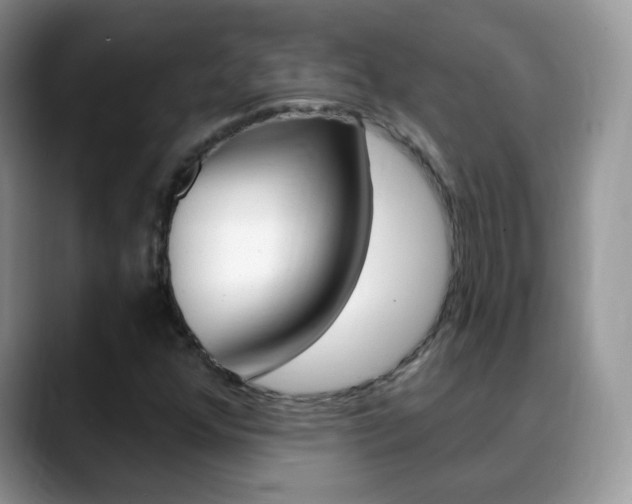 X0000088901352200706080818