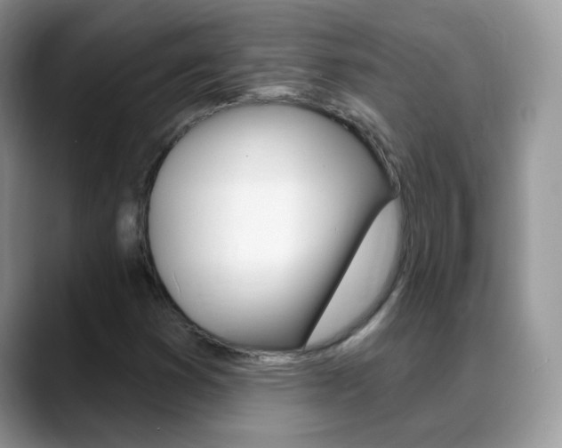 X0000088901353200706080818