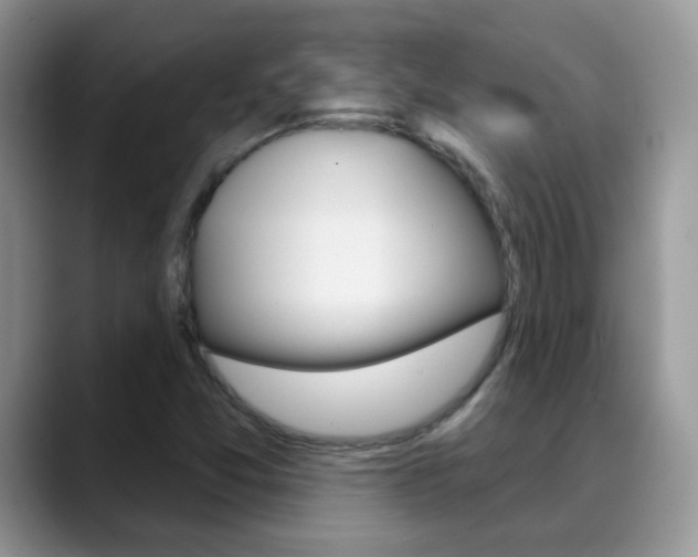 X0000088901357200706080818