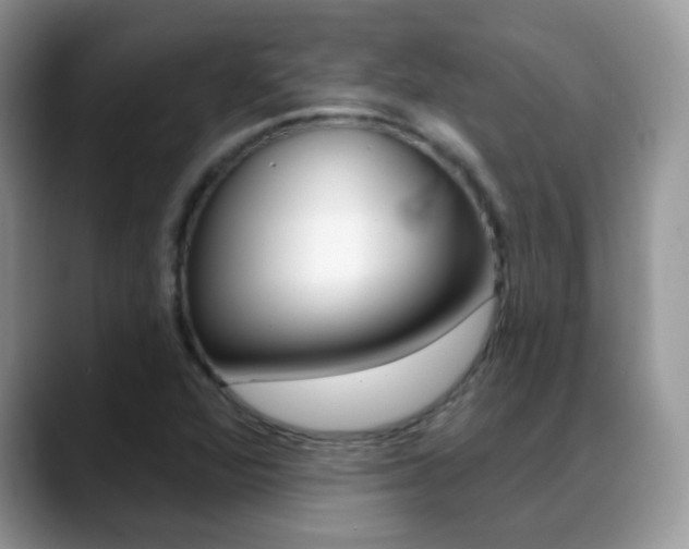 X0000088901360200706080818