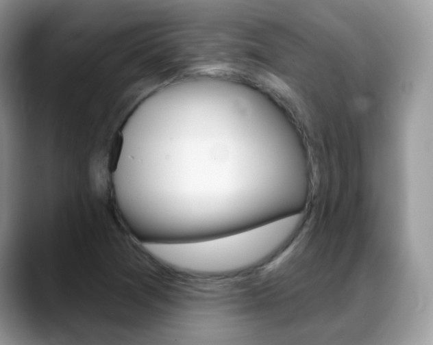 X0000088901361200706080818