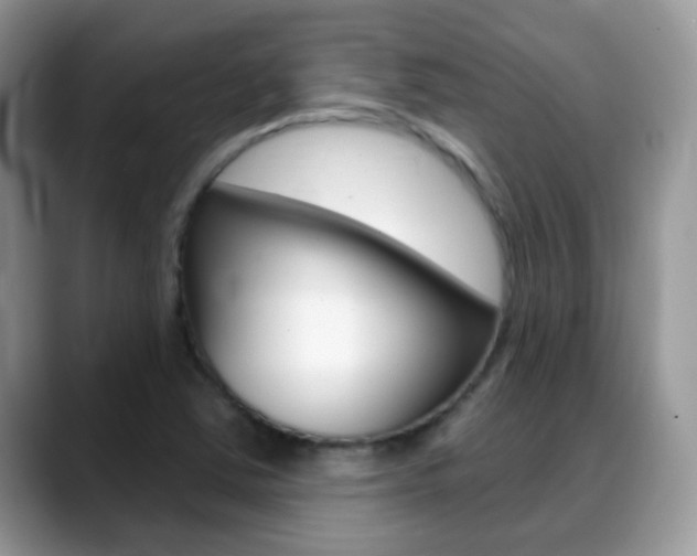 X0000088901363200706080818