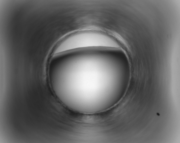X0000088901364200706080818
