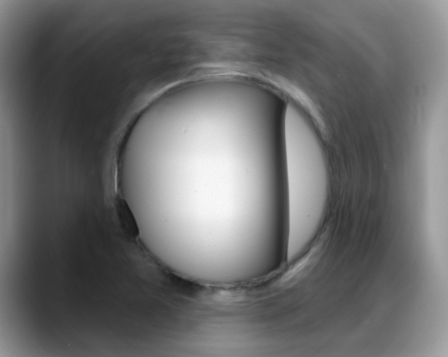 X0000088901365200706080818