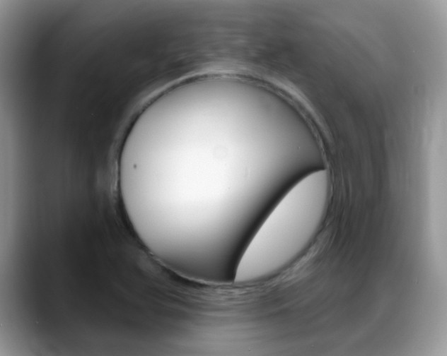 X0000088901366200706080818