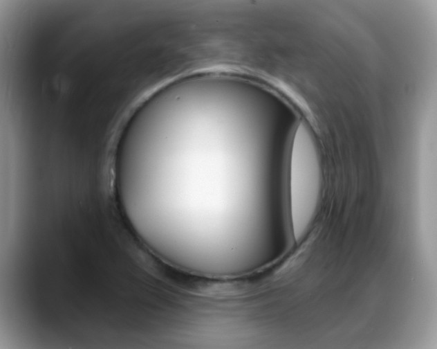 X0000088901367200706080818