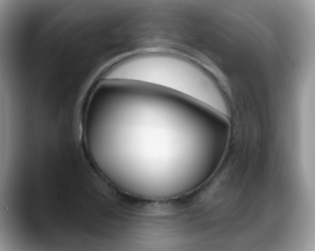 X0000088901368200706080818
