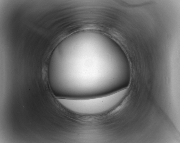 X0000088901369200706080818