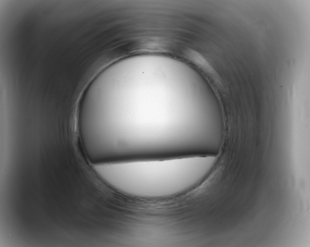 X0000088901370200706080818