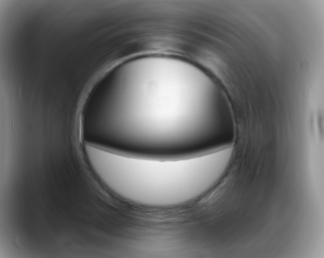 X0000088901371200706080818