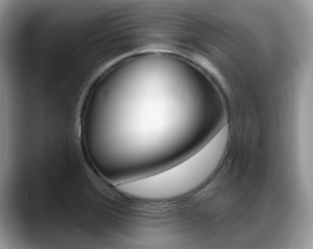 X0000088901372200706080818