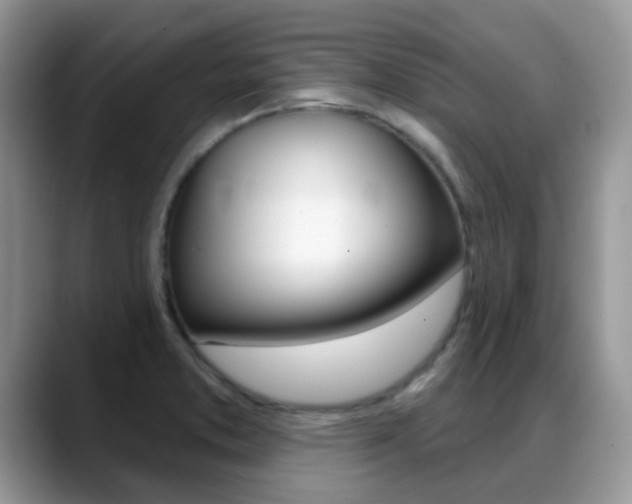 X0000088901373200706080818