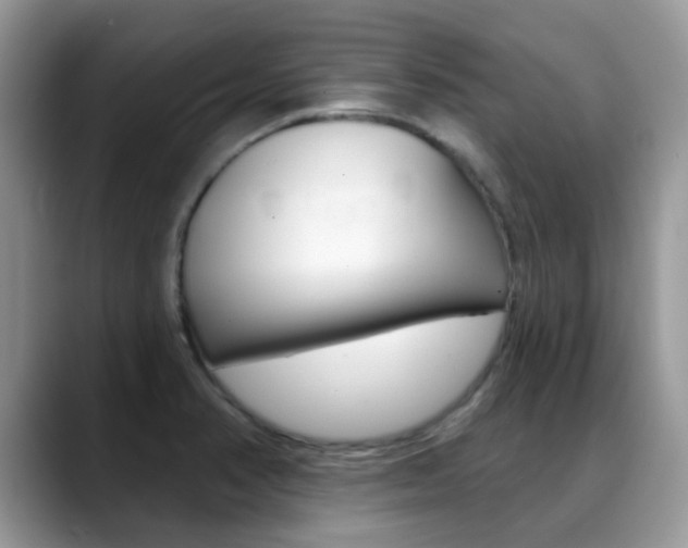 X0000088901374200706080818