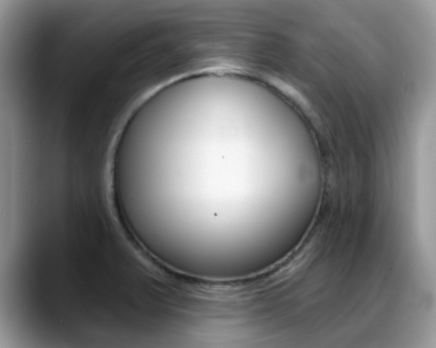 X0000088901375200706080818