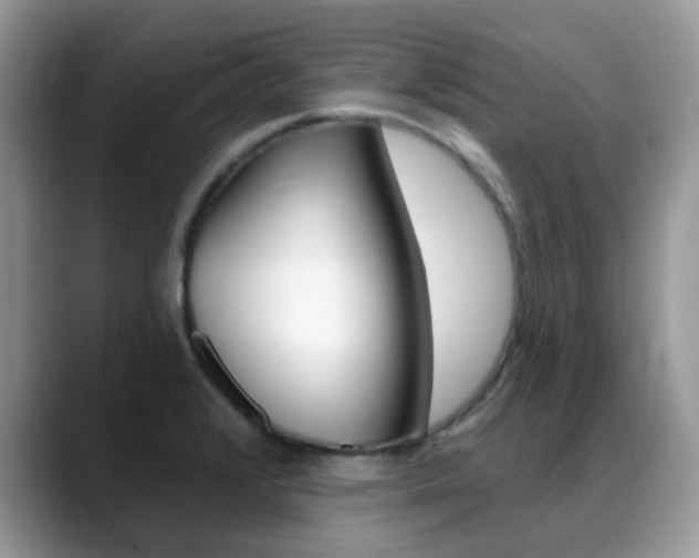 X0000088901376200706080818