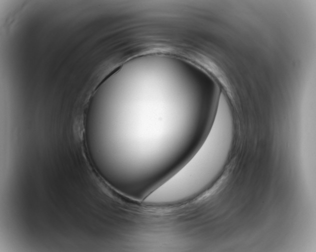 X0000088901377200706080818