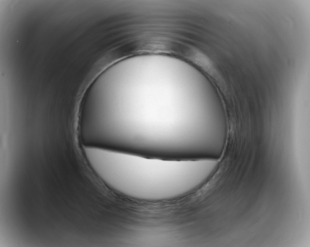 X0000088901378200706080818