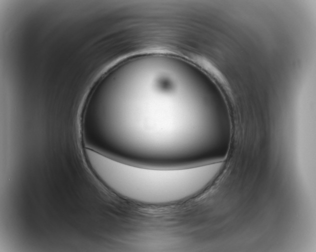 X0000088901380200706080818