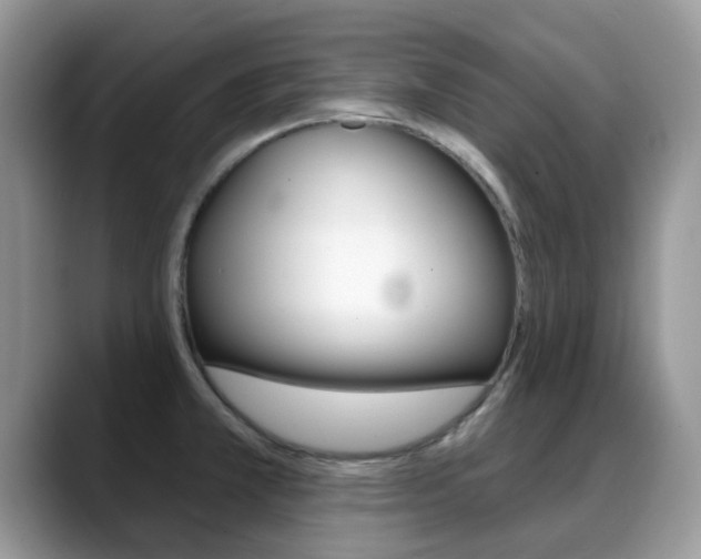 X0000088901381200706080818