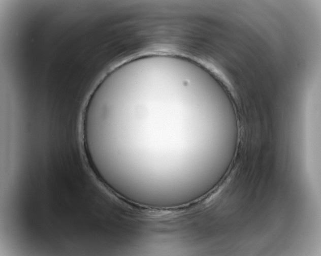 X0000088901382200706080818