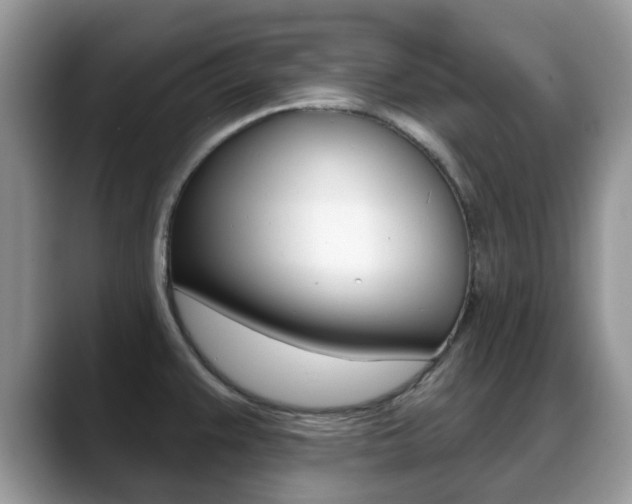 X0000088901383200706080818