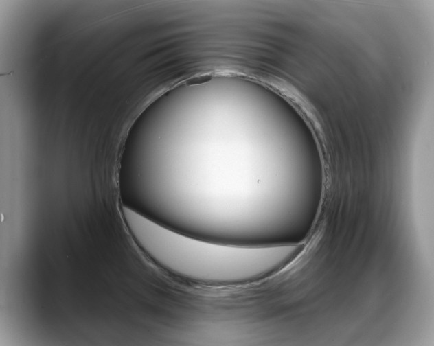 X0000088901385200706080818