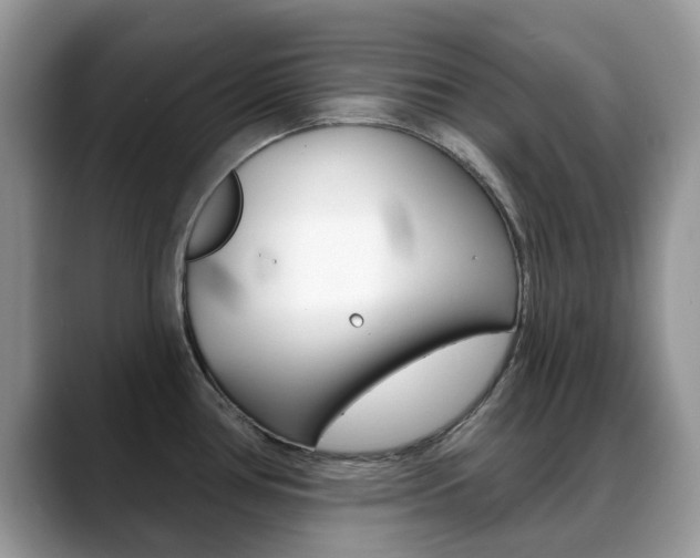 X0000088901386200706080818