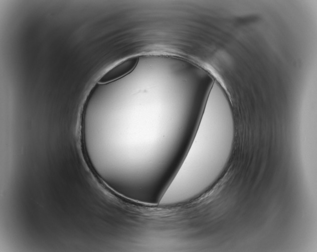 X0000088901387200706080818