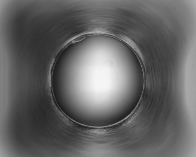 X0000088901388200706080818
