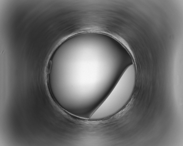 X0000088901389200706080818