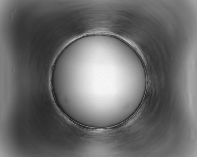 X0000088901390200706080818