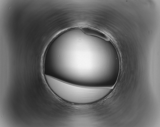 X0000088901392200706080818