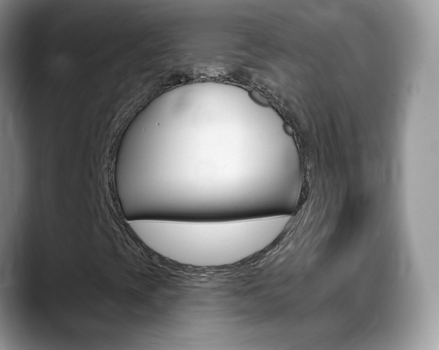 X0000088901393200706080817